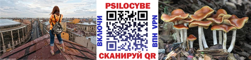 Галлюциногенные грибы MAGIC MUSHROOMS  Отрадный 